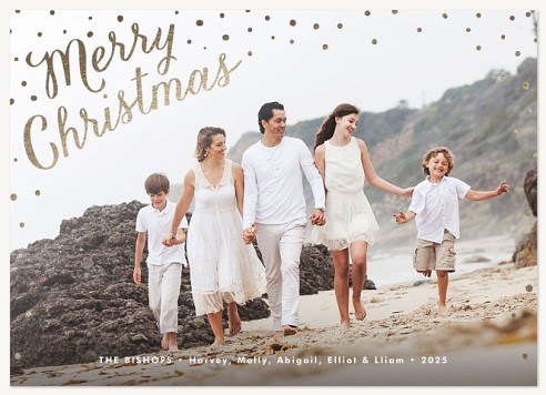 Luxe Snowfall Christmas Cards