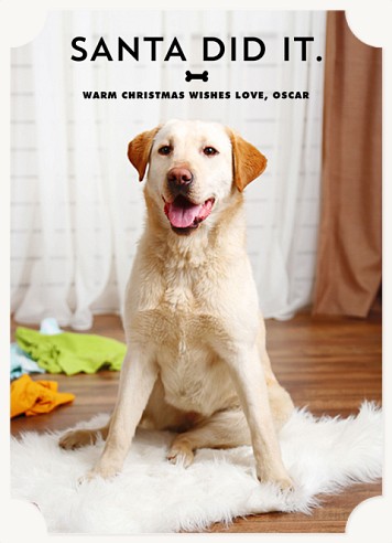 Santa Did It Christmas Cards
