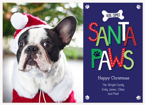 Merry Santa Paws Christmas Cards