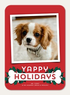 Yappy Holidays