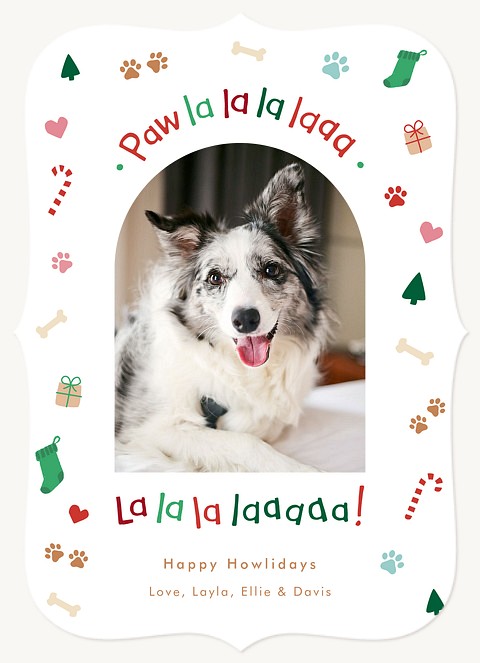  Doggy Delight Personalized Holiday Cards