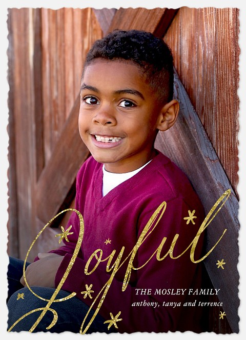 Joyful Twinkle Holiday Photo Cards